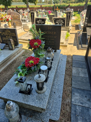 Zdjęcie nagrobka Eugeniusz Teśner
