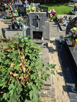 Zdjęcie nagrobka Ignacy Pawlaczyk